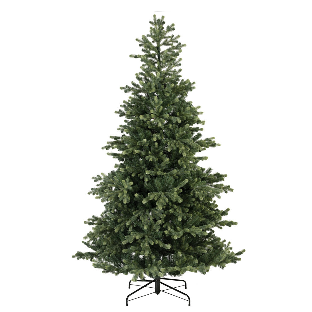6ft Geneva Fir