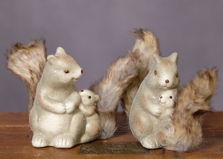 Squirrel Family