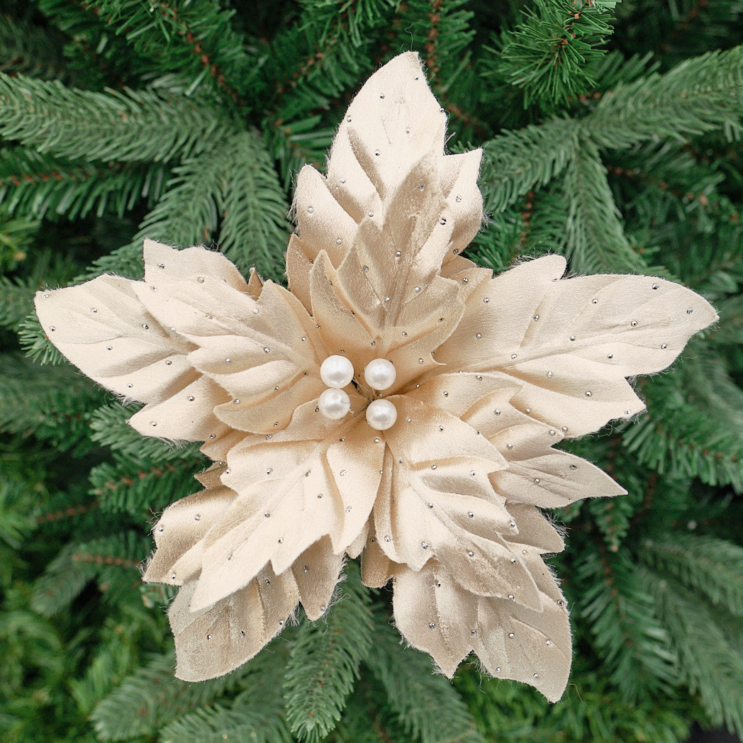 Champagne Fold-Out Poinsettia Stem
