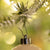 Christmas Tree Hooks (50 Pack)