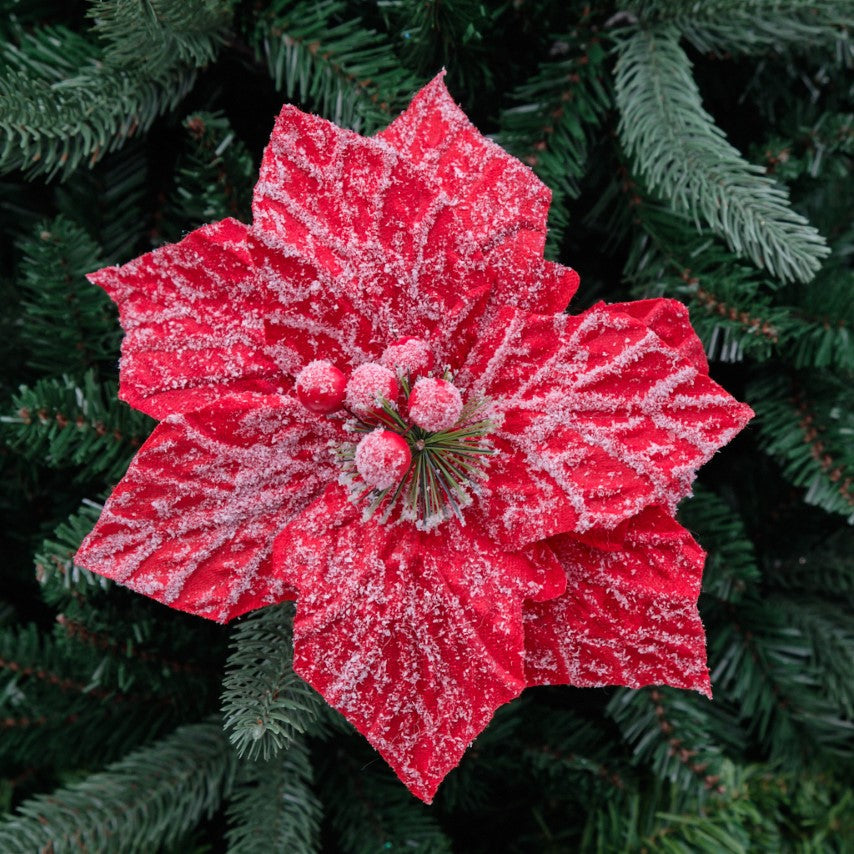 Fold Out Snowy Poinsettia