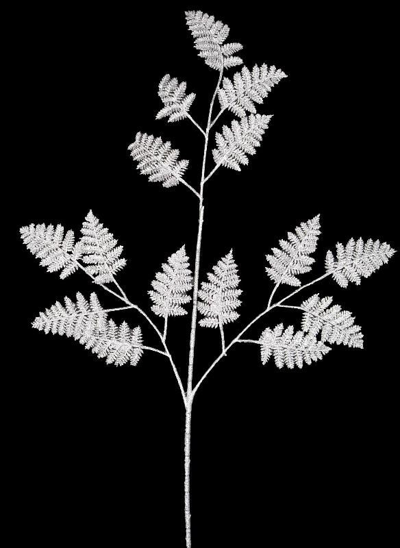 Fern Cluster Spray