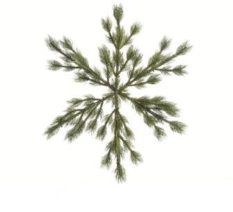 Pine Snowflake