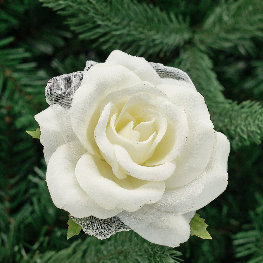 White Chiffon Rose Clip-On