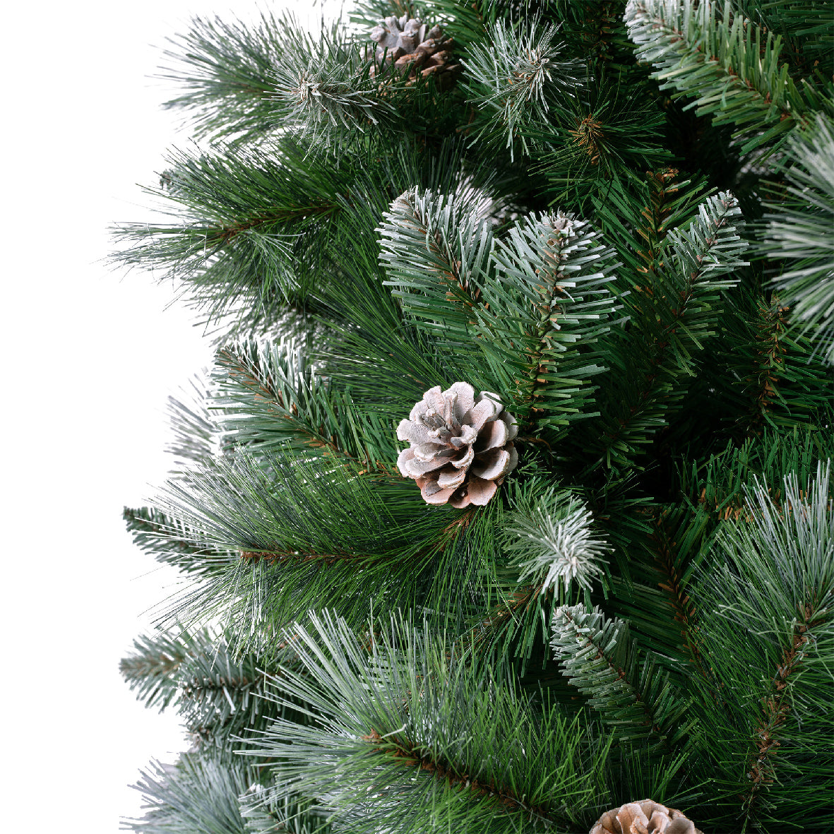 7ft Frosted Norwich Pine