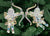Acrylic Cherub With Bow