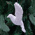 Flying Dove