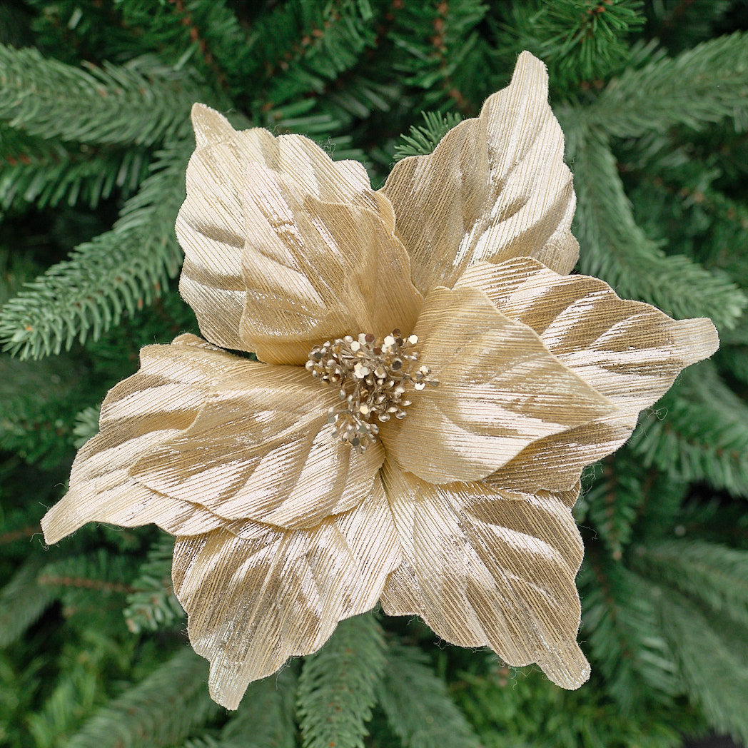 Champagne Glitter Fold-Out Poinsettia Stem