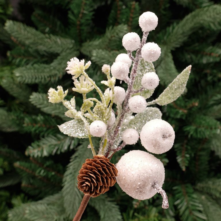 Snowy Fruit Berry Pick