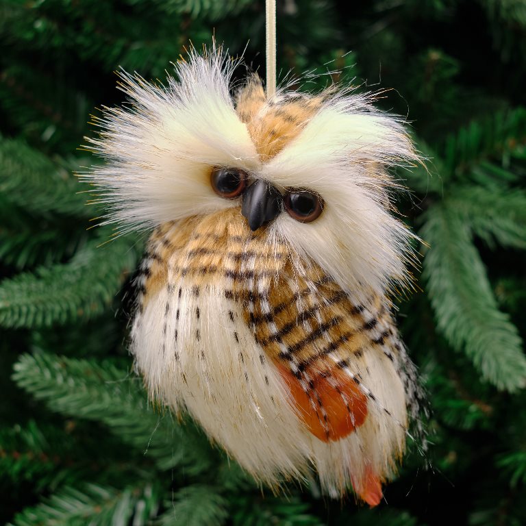 Fluffy Owl