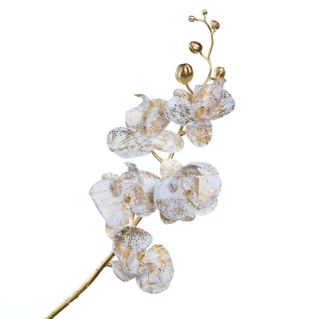 Champagne &amp; Cream Christmas Orchid Spray