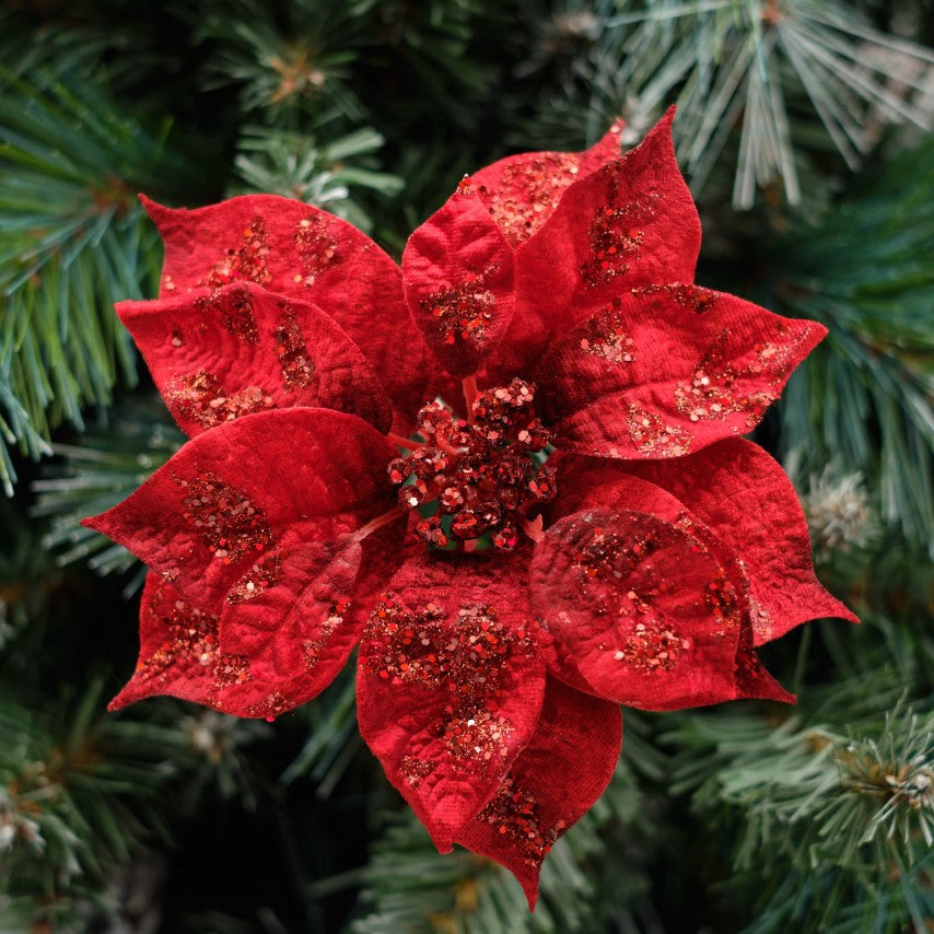 Poinsettia Clip-On