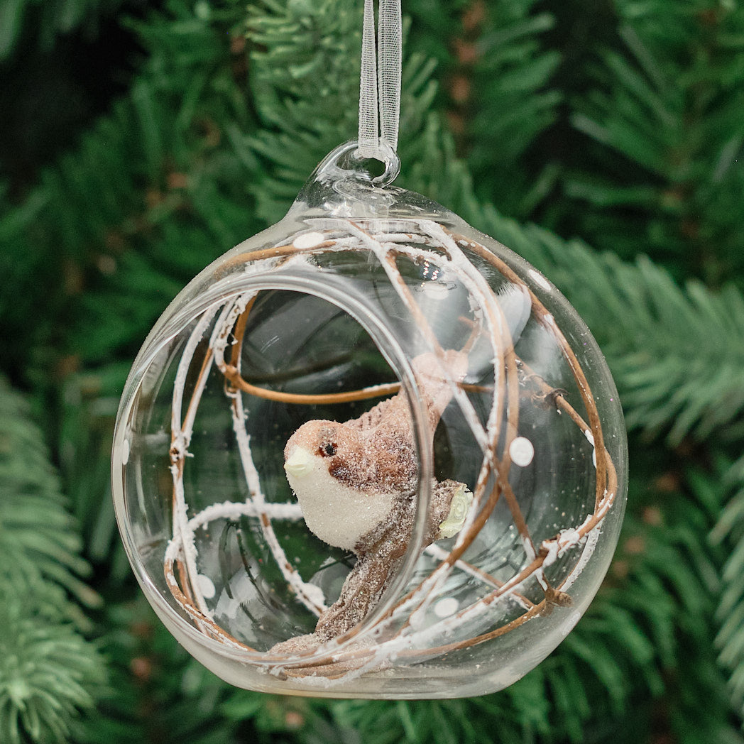 Clear Glass Bird Scene Bauble