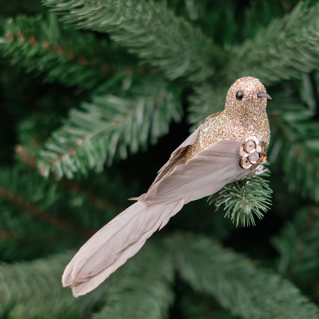 Tawny Bird Clip-On